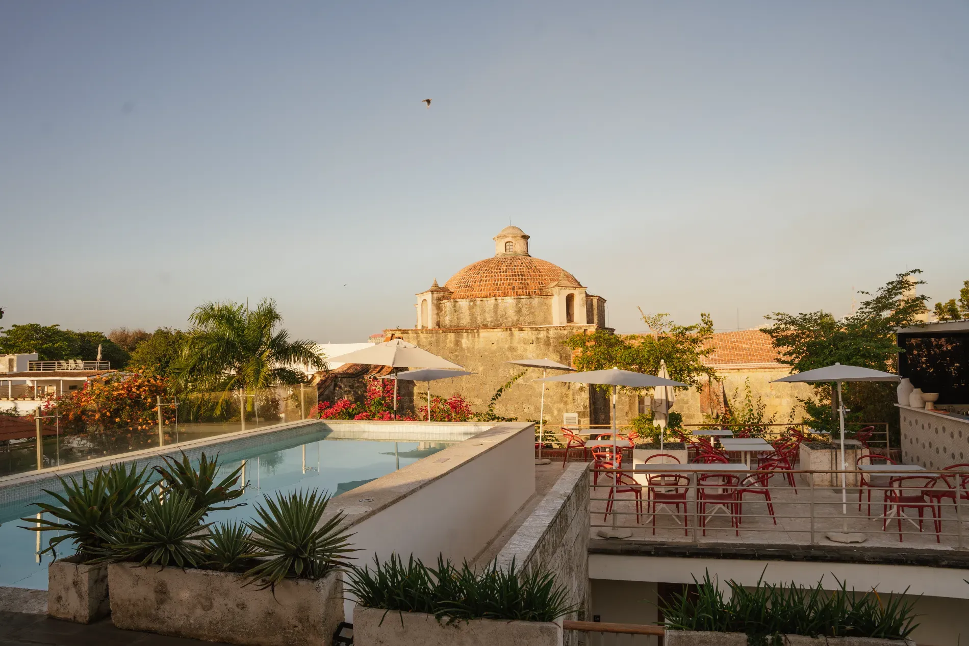 Terraza Moon Rooftop Rest. vista 3